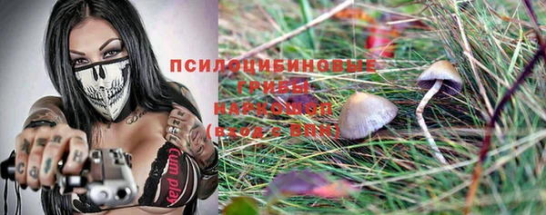 2c-b Абдулино