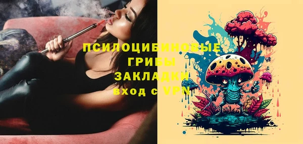 2c-b Абдулино